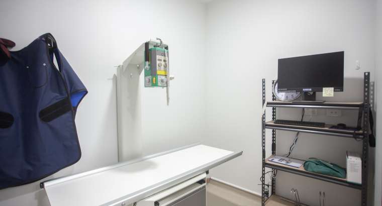 PennHIP Screening for Hip Dysplasia